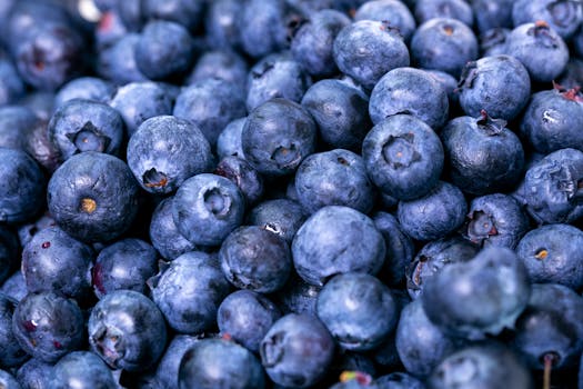 Vibrant close-up of fresh blueberries showcasing their juicy texture and natural color.